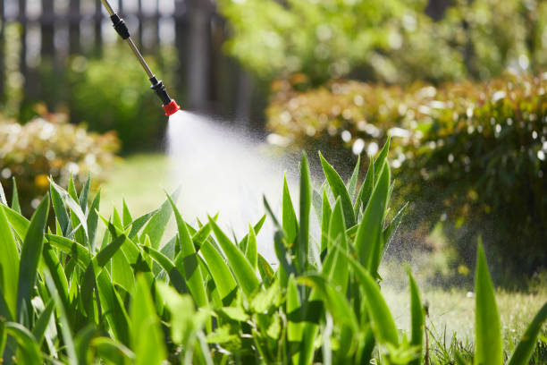 Tamper-Resistant Bait Stations for Rodents in Yutan