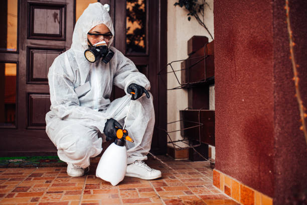 Attic and Crawl Space Rodent Treatment in Yutan