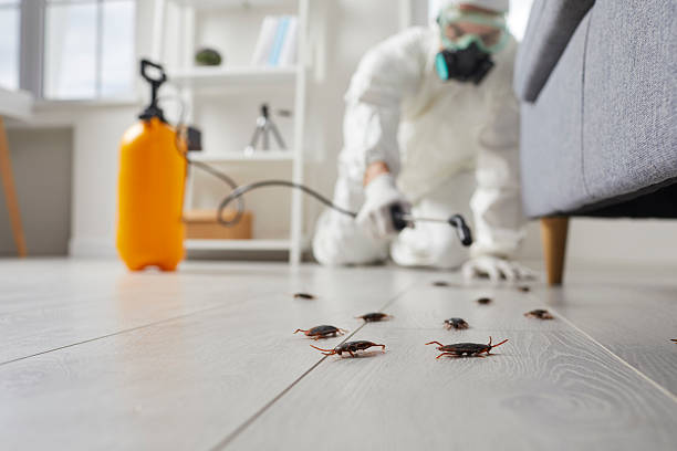 Commercial Rodent Management in Yutan